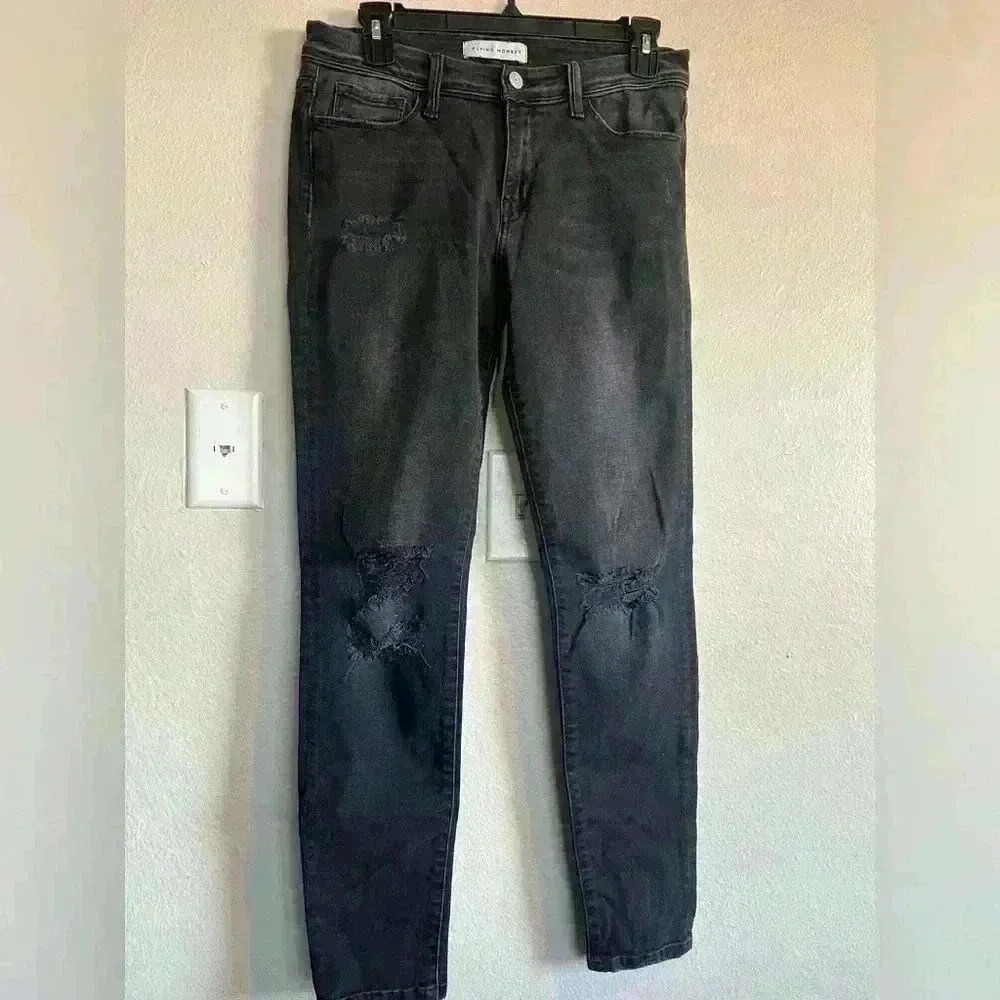 Flying Monkey - image 1